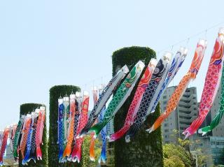 Carp streamers at Noritake Forest