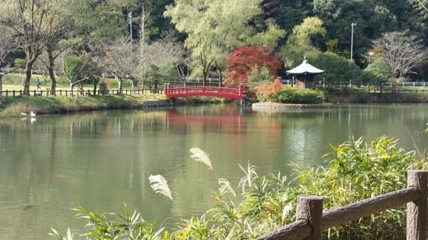 定光寺・定光寺公園