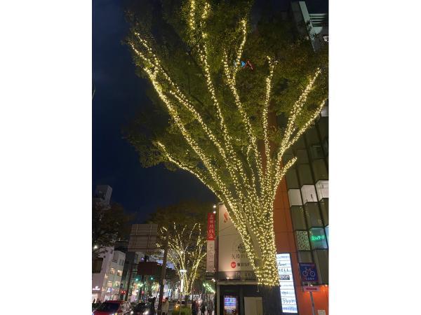 榮南・大須冬季燈光秀